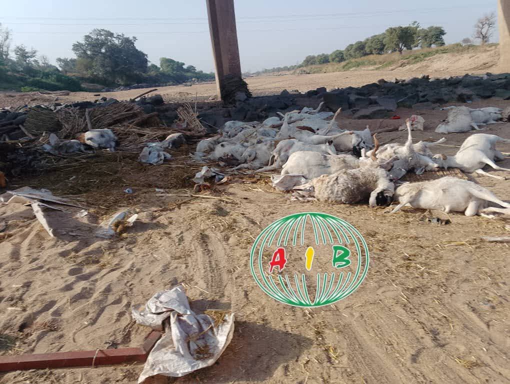 Accident de circulation 